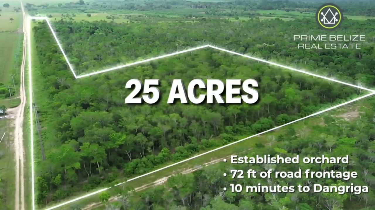 25 Acres of Farmland Near Dangriga For Sale