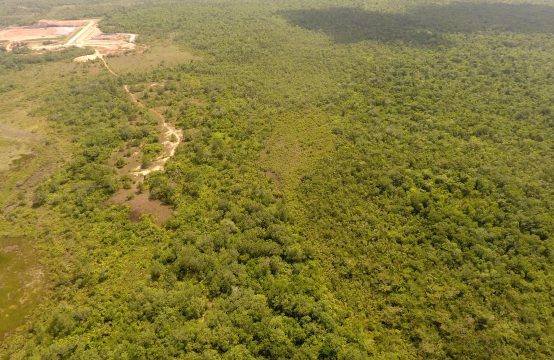 PF0004 –1,456 acres &#8211; Near Hattieville, Belize District