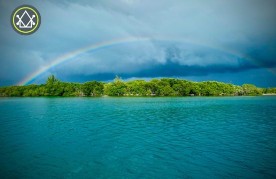 PI0011 -Driftwood Caye – A Pristine Island in a Protected Marine Park