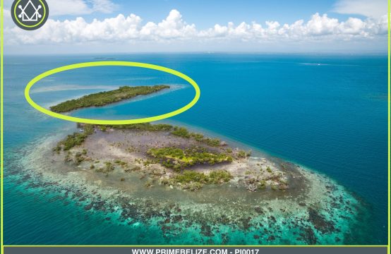 PI0017 – Untouched 4.389 &#8211; Acre Private Island near Placencia Village, Belize