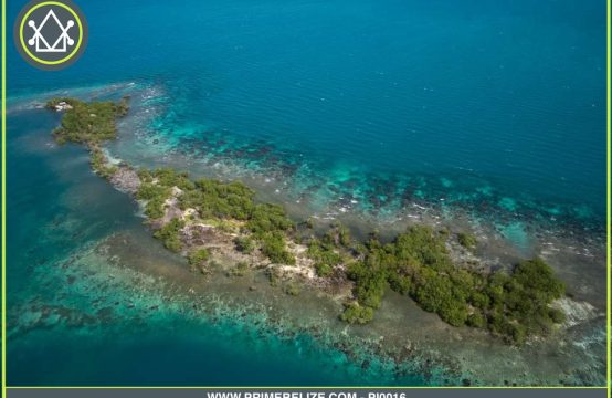 South Saddle Caye