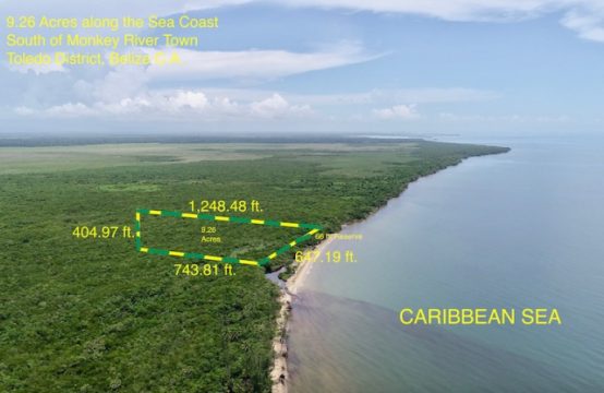 PL0034 &#8211; Stunning Beachfront Parcel Just South of Monkey River