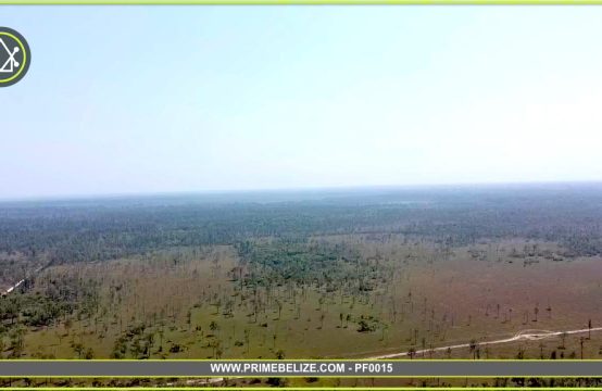 PF0015 &#8211; 2547 Acres of Untouched Land in Monkey River Bladen, Belize