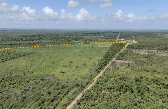 PF0037-394 Acre Farmland with Highway Frontage in Southern Belize