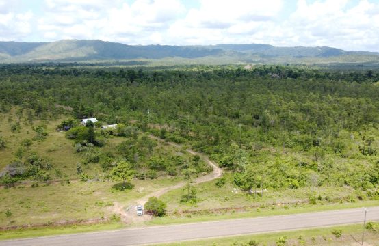 PF0039-1100 +/-Acres of Pristine Land in Stann Creek, Belize