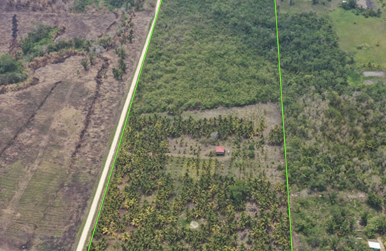 PF0034-  24.42 Acre Coconut and Lime Farm