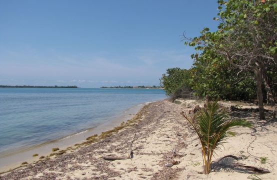 PL0109 – BEACHFRONT DEVELOPMENT – 350+ ft – DISCREET SALE