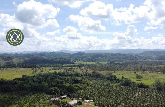 PF0041-Active producing farm, young crops, minutes from Belmopan