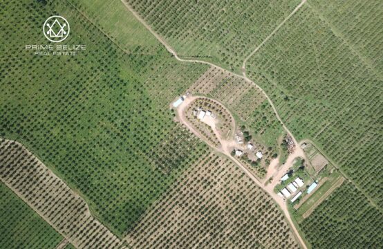 PF0042 &#8211; 1,700+ ACRES COCONUTS AND OTHER PRODUCING CROP &#8211;  STANN CREEK BELIZE
