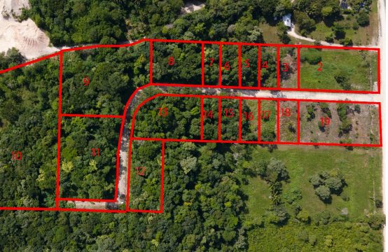 PL0120-Cayo Country Estate- starting 1/4 Acres!