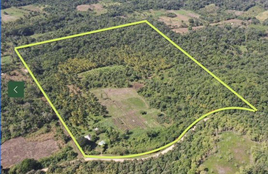 PF0043-30 Acre Farm For Sale Near Teakettle, Cayo District