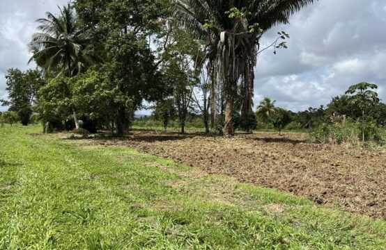 PF0050– Prime 16-Acres Farmland in Hope Creek –Investment Opportunity!