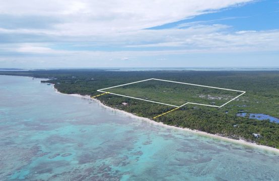 PL0141-40.09 Acres of Prime Land in North Ambergris Caye