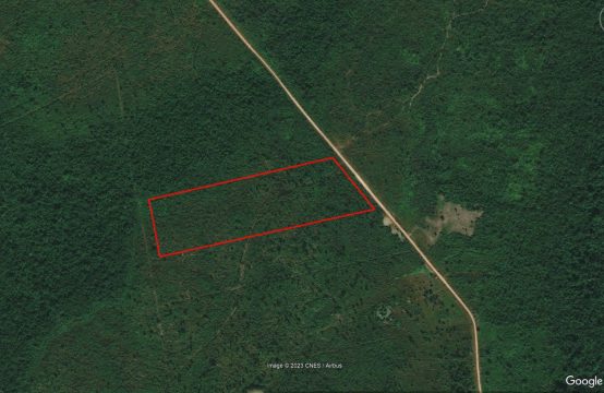 PL0080-25 Acres for Sale Near More Tomorrow, Cayo District