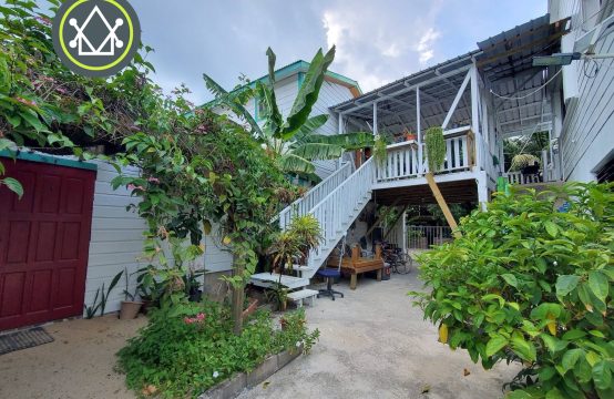 PB0020-Investment Opportunity in the Heart of Placencia Village!
