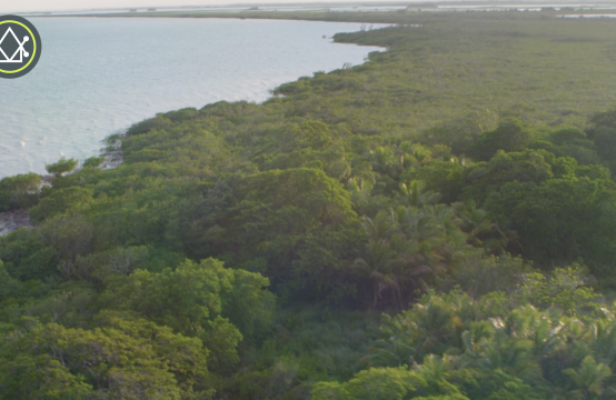 PF0012 – Balam South Beach – Parcel 61- $850USD PER ACRE!