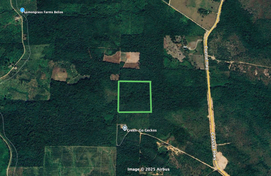 PF0056- 30 Acres of Fertile Land with Streams – Coastal Road, Belize