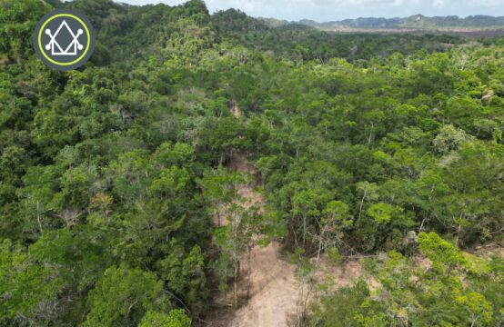 PL0162-Manatee Park Hills –A Conservation-Focused Estate Community in Coastal Belize