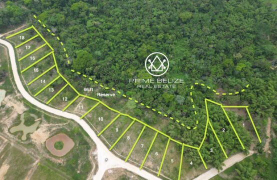 PL0177-Manatee Park is an exceptional residential and commercial investment opportunity