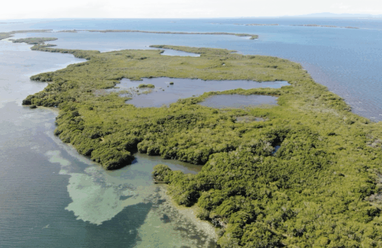 PI0037-2.4-Acre Oceanfront Property on the Tobacco Caye Range – Belize