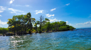 plot for sale Tabacco caye range