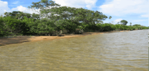200 Acre Beachfront Property near Sapodilla Lagoon
