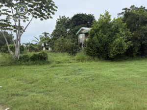 Large Residential Lot