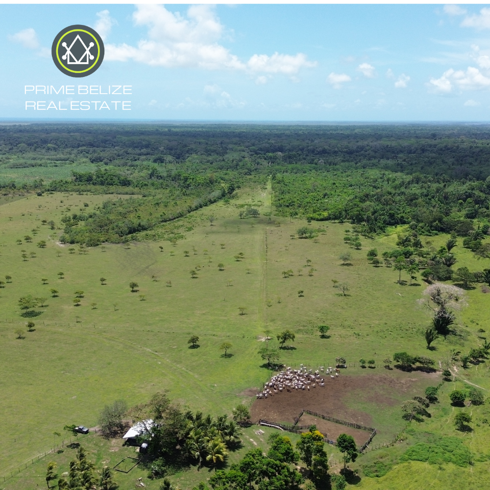 Operational Farm