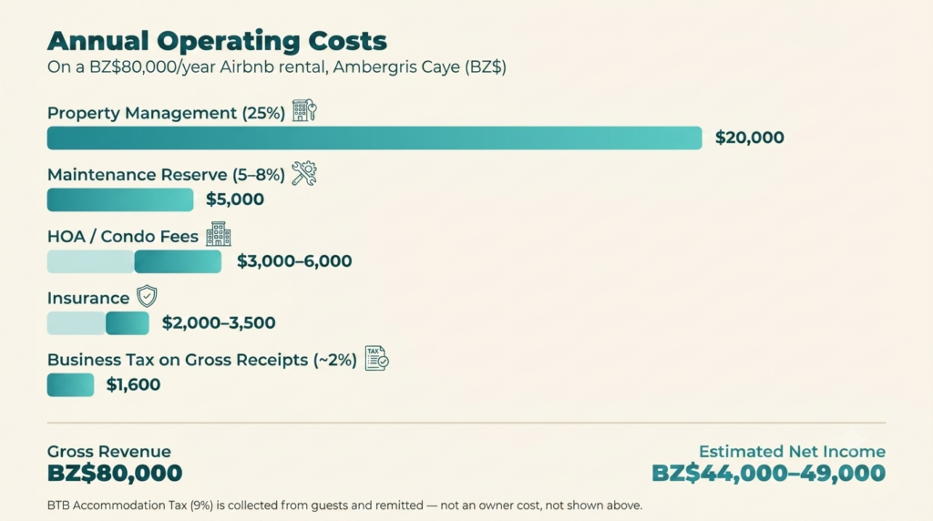 The Real Cost of Running an Airbnb in Belize: Licenses, Taxes, and What Nobody Tells You Before You Buy