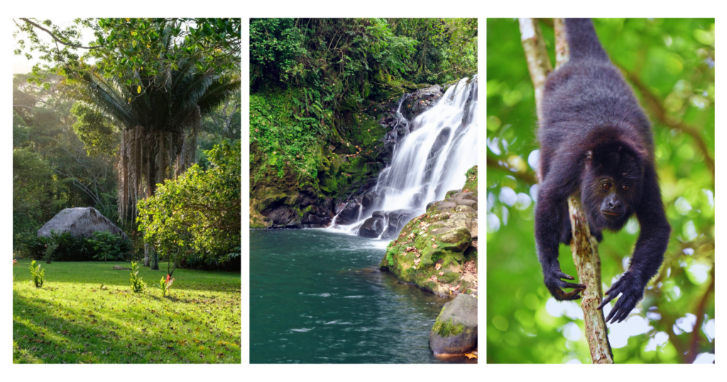 Coastal vs. Inland Homeownership in Belize: Matching the Micro-Climate to Your Lifestyle